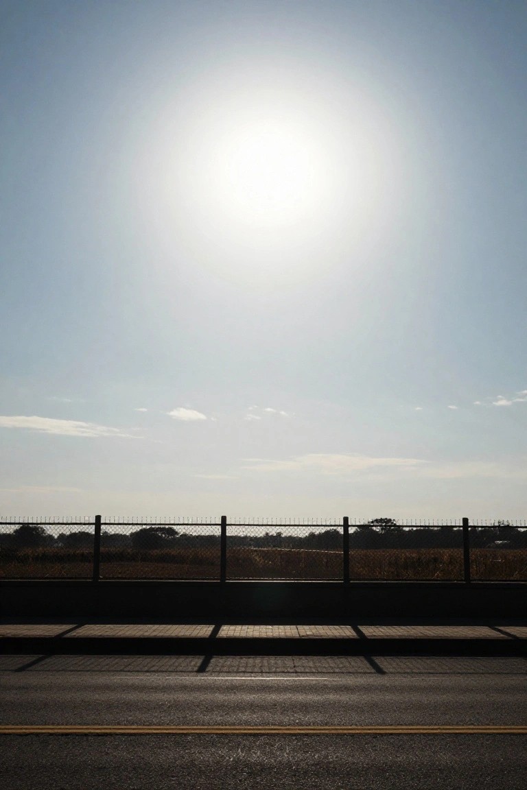 Chain-link fence lining a paved roadside with tall grass behind it under a bright sun and blue sky.