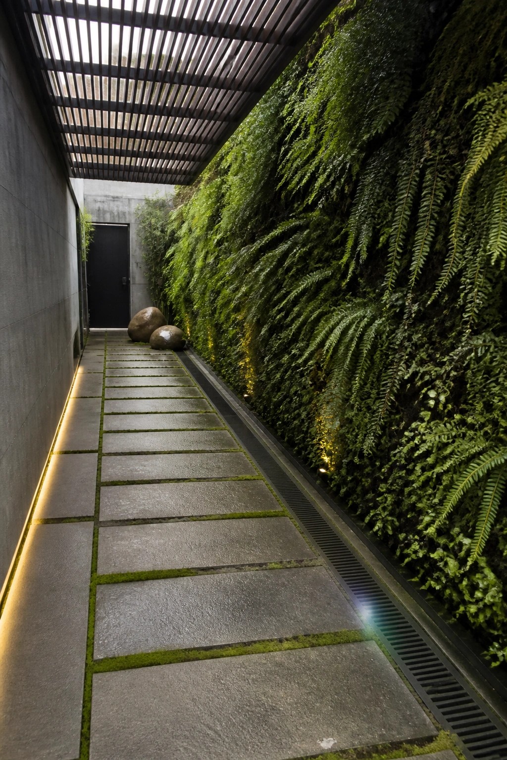 A narrow stone paver path runs beside a tall vertical garden wall covered in ferns, with a slatted overhead structure providing partial shade.