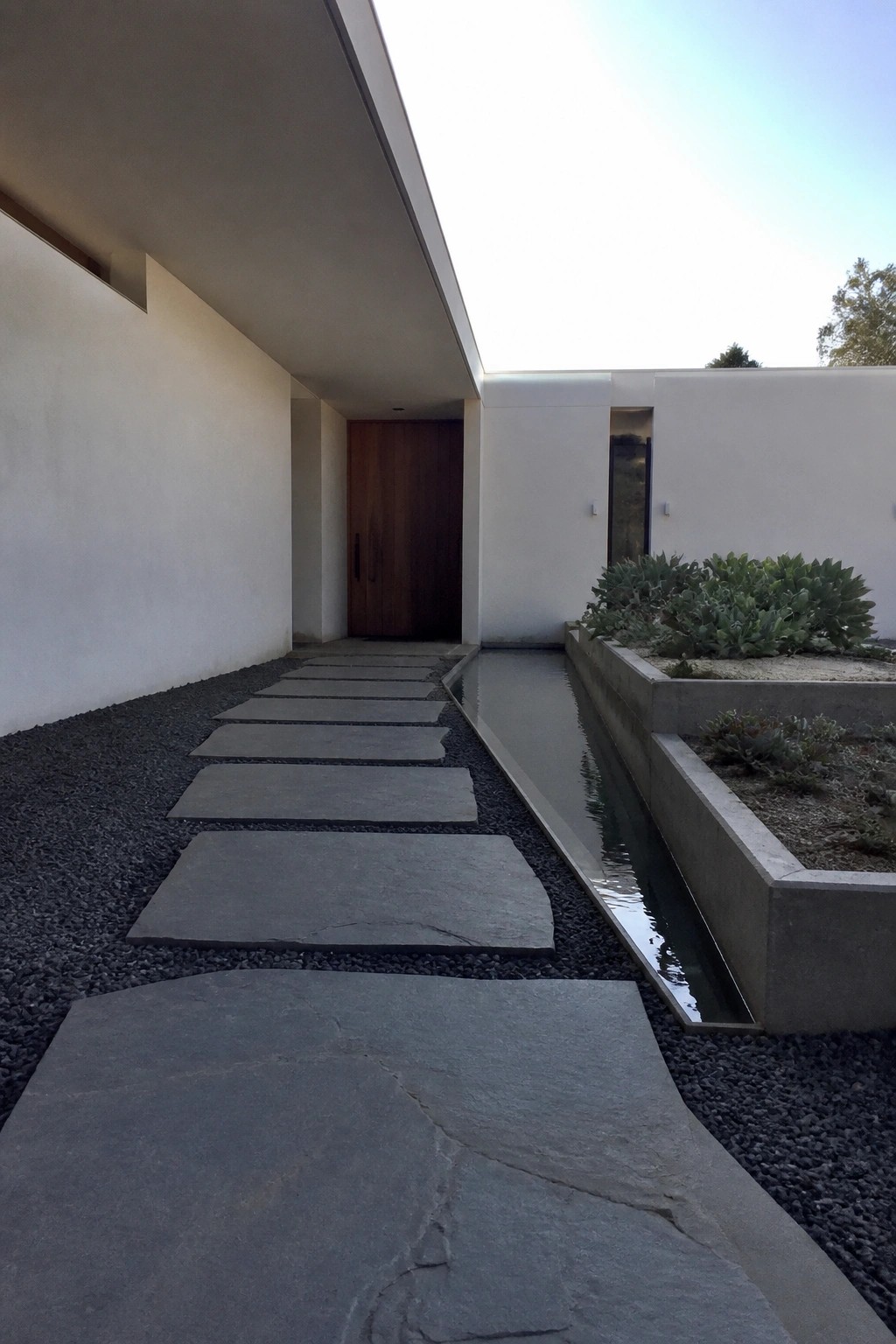 Modern courtyard with stone slab path, narrow water channel, wooden door, and succulents.
