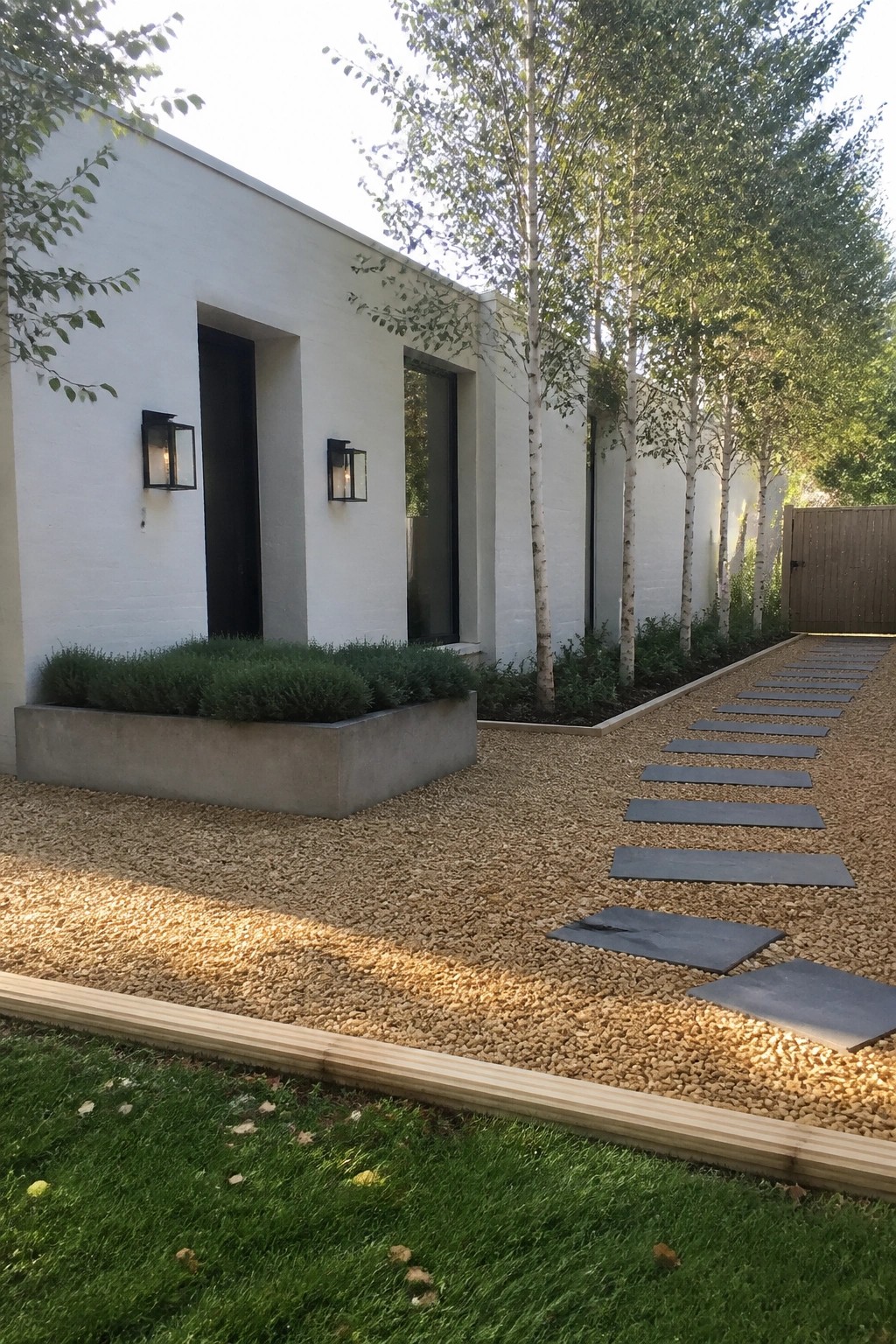 Modern white building with gravel path, slate stepping stones, and birch trees.