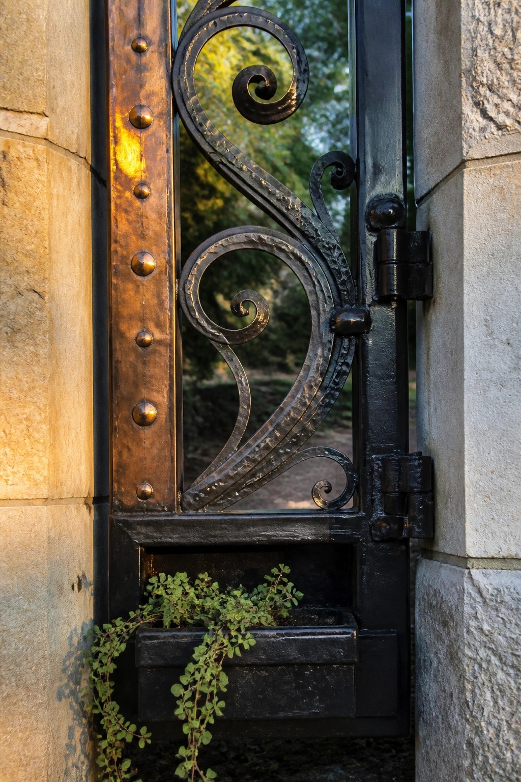 Ornate wrought iron gate with spirals, hinges, and planter of trailing green plants on stone.