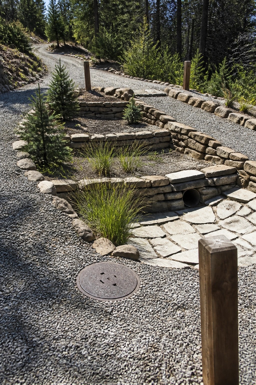 Curving gravel path with stone retaining walls, young trees, and metal drain cover
