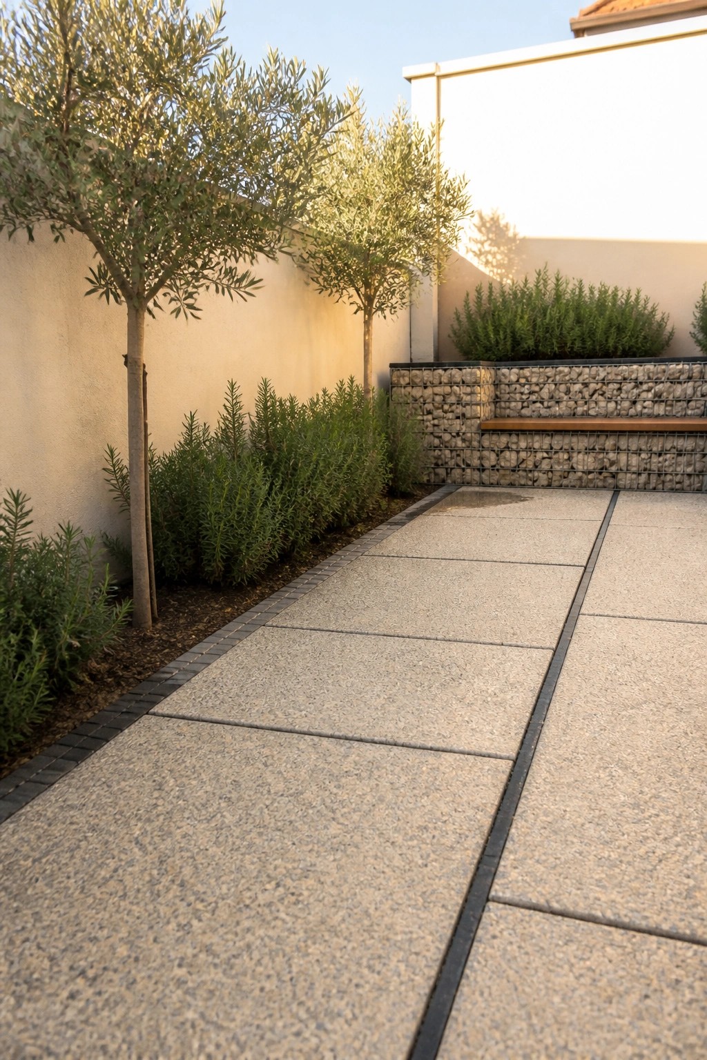 A straight concrete paver path runs alongside a planted border with olive trees and shrubs next to a gabion wall.