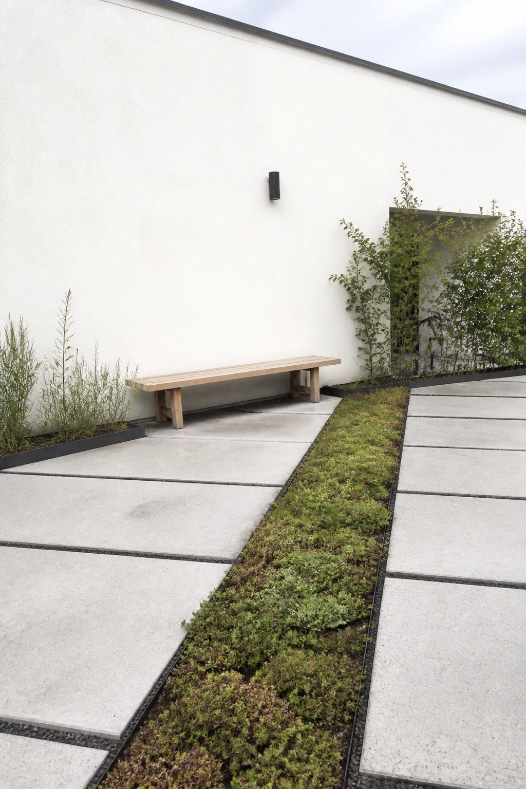 A concrete paver walkway with a central strip of low green ground cover plants beside a white building wall and wooden bench.