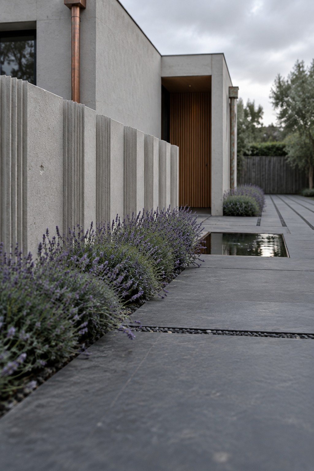 A modern concrete house exterior with vertical-slatted boundary walls, a wooden door, lavender planting along a stone pathway, and a small rectangular water feature set into the paving.