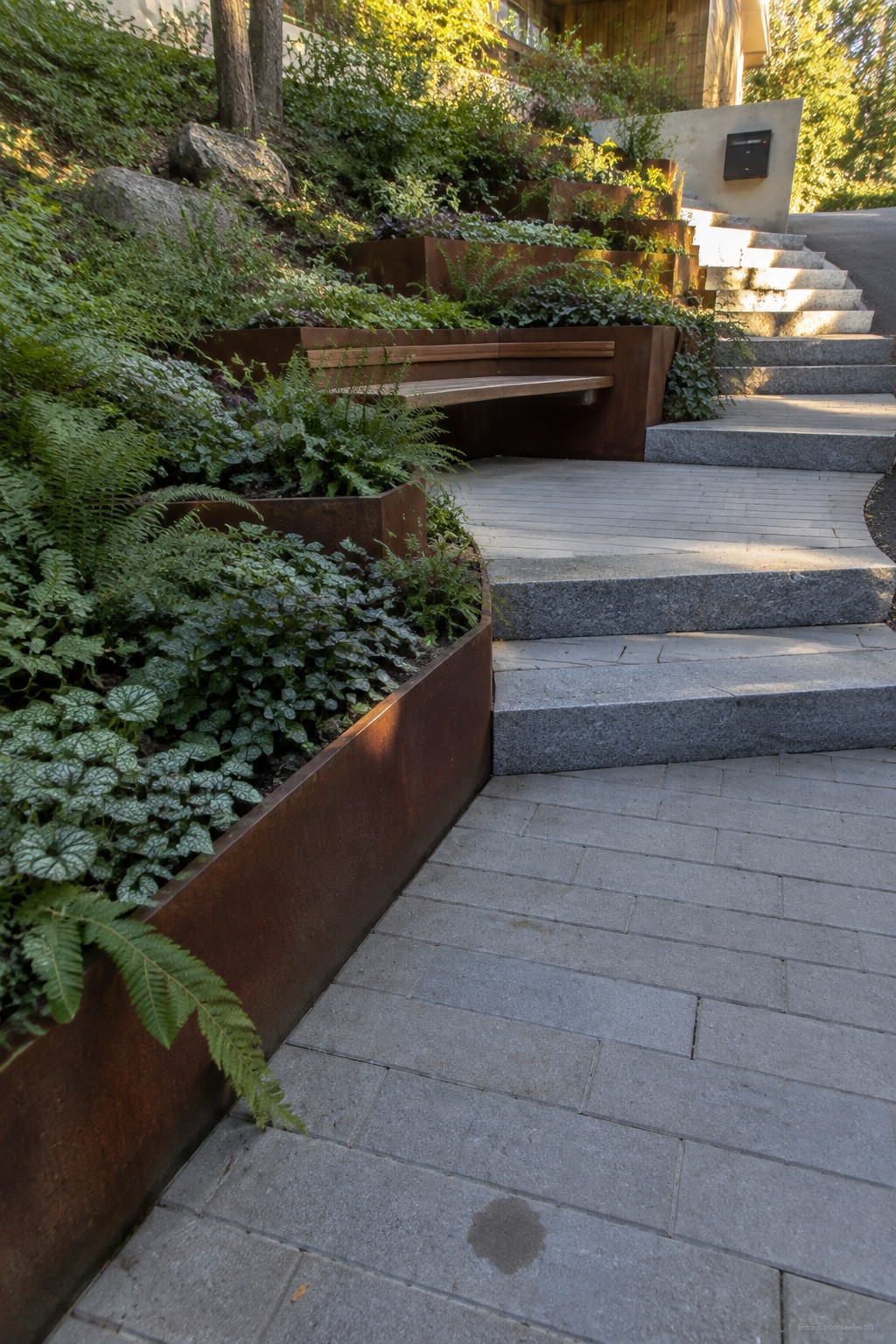 A sloped outdoor area with gray stone paving and steps bordered by curved rusted metal planters filled with ferns and leafy plants.