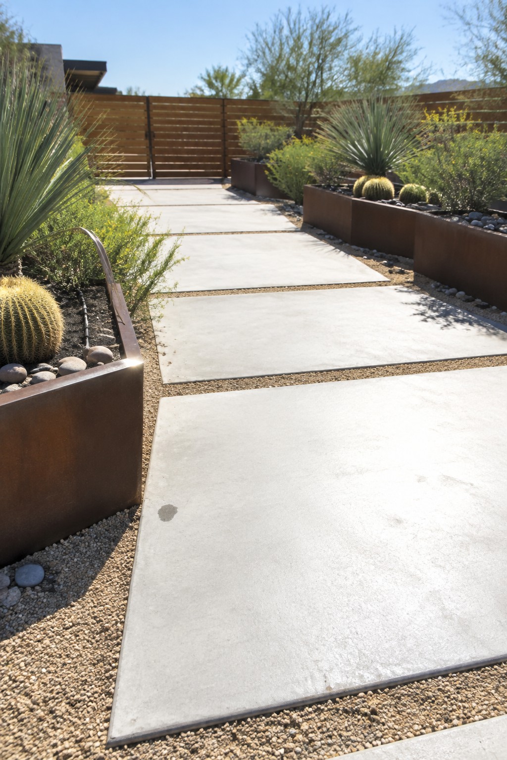 A concrete paver pathway bordered by raised metal planters containing cacti, grasses, and desert shrubs under bright daylight.